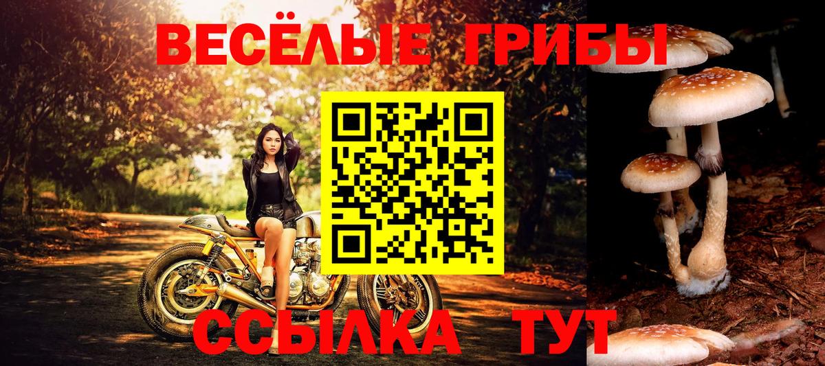 Псилоцибиновые грибы мухоморы Нефтекамск