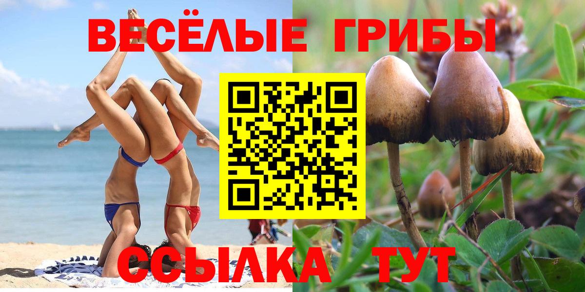 Псилоцибиновые грибы Psilocybe  хочу   Нефтекамск  Вход с VPN 